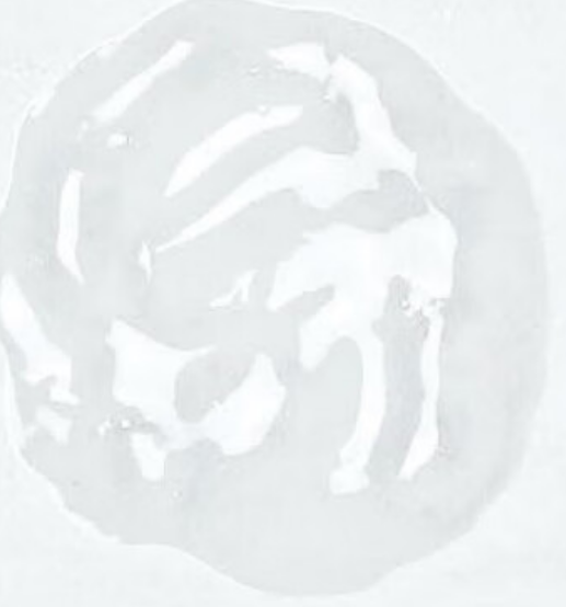 image-20260228150906487