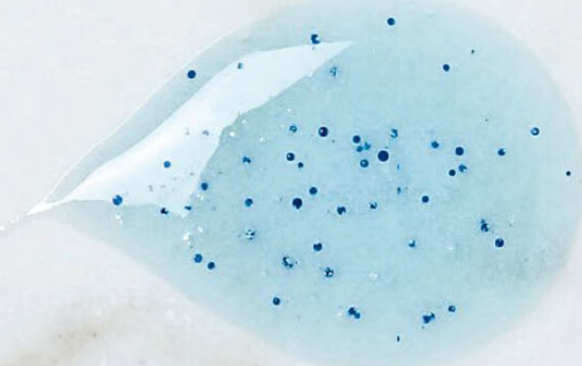 image-20260228150924819